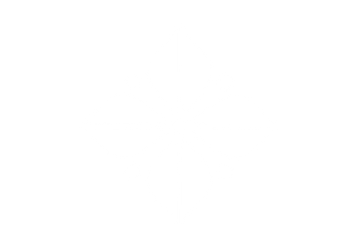 Obsidian